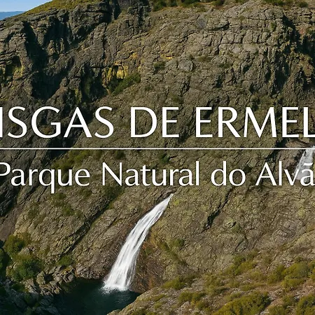 Panoias Vila Real